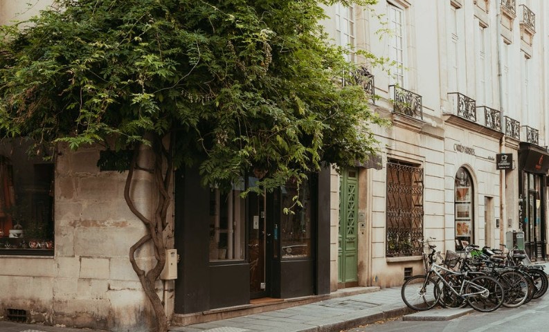 Rue avec arbres et vélos
